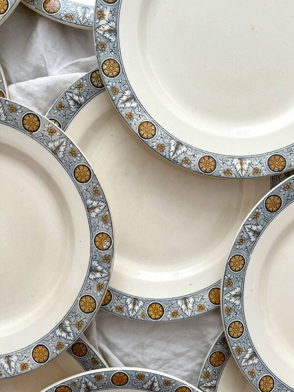 10 assiettes plates en terre de fer « Lamartine » Salins
