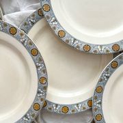 10 assiettes plates en terre de fer « Lamartine » Salins