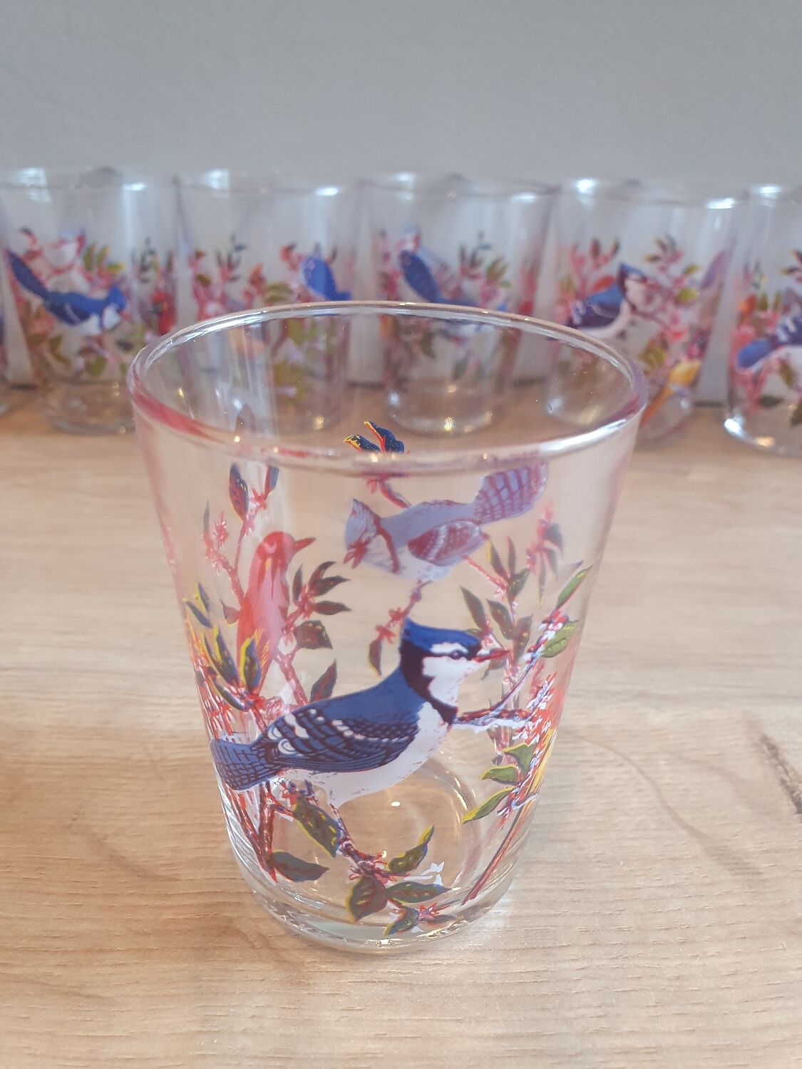 Vintage bird glasses