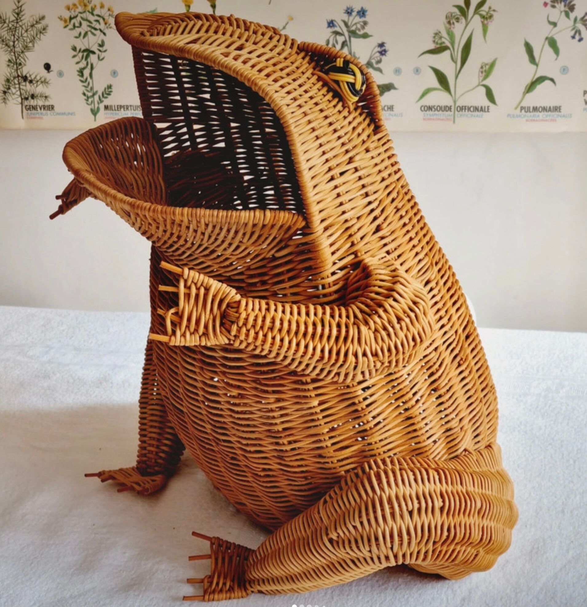 Wicker frog magazine holder Olivier Cajan