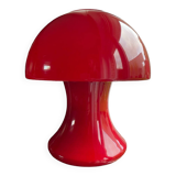 Funghi mushroom lamp