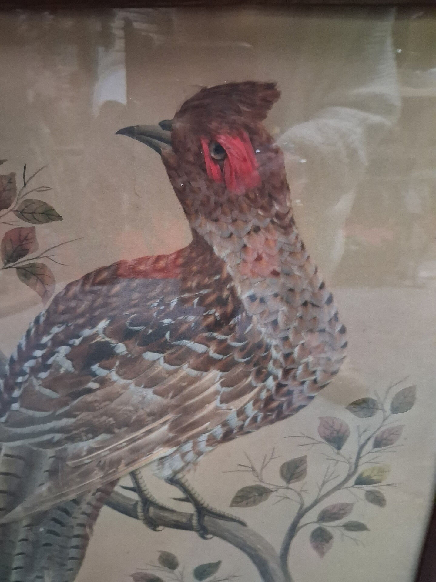 Paire de tableaux naturalistes en plumes véritables
