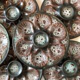 12 oyster plates Vallauris Marius Giuge