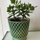 Cache-pots vintage