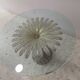 Italian daisy table 60s, 70'S design table Chelini Florence