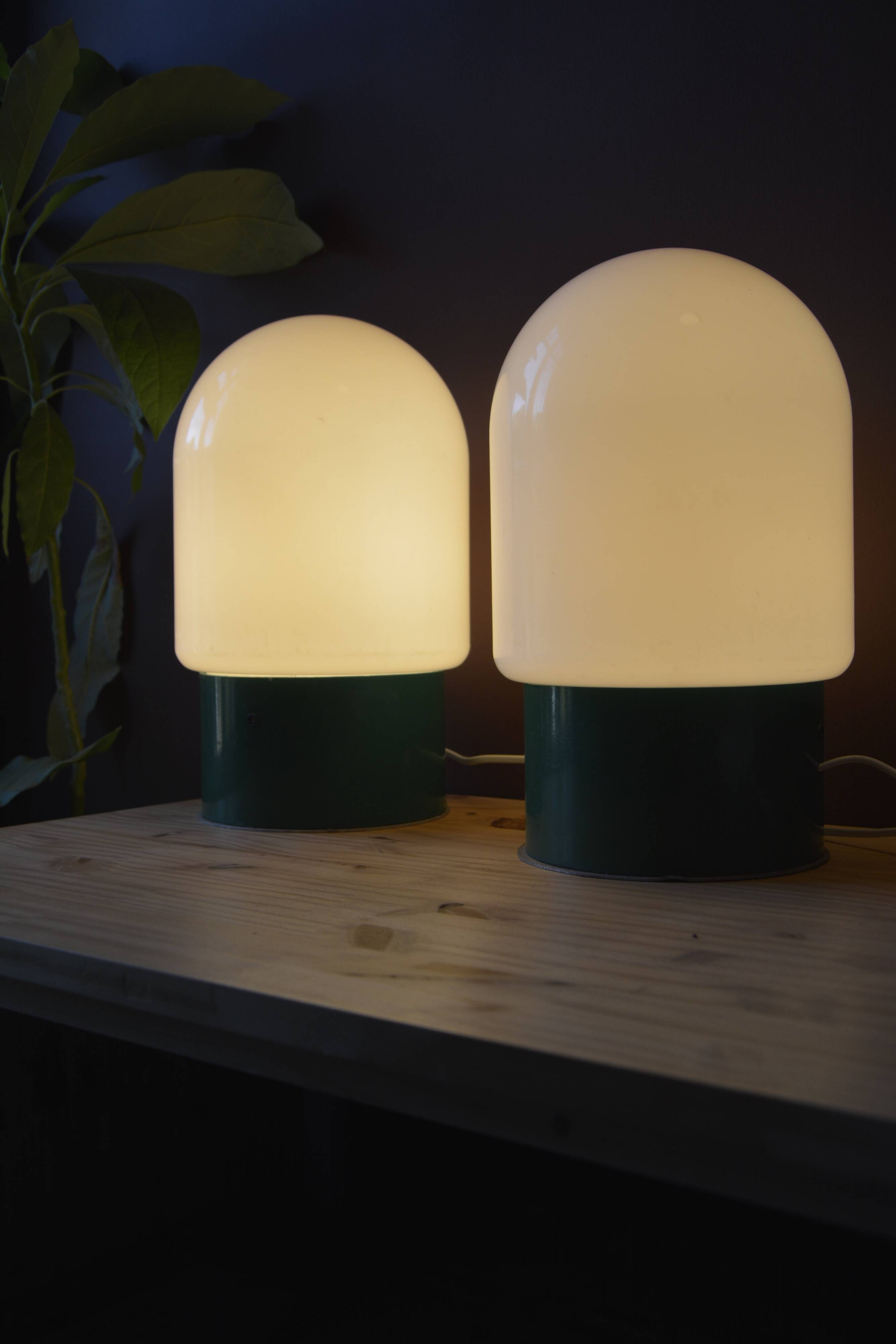 Pair of industrial lamps