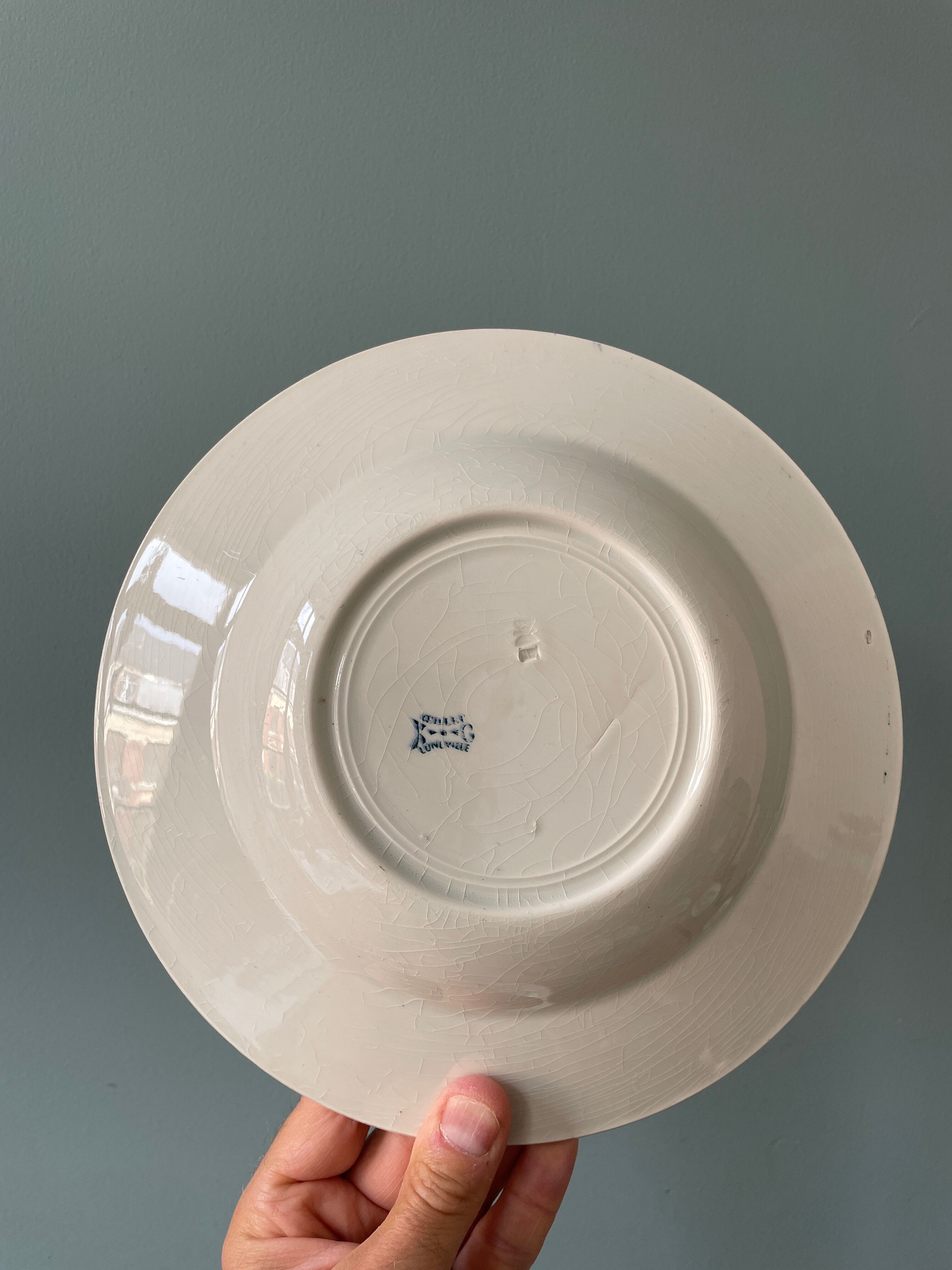 Set of 7 hollow plates Terre de Fer K.G Lunéville, model "carnation"