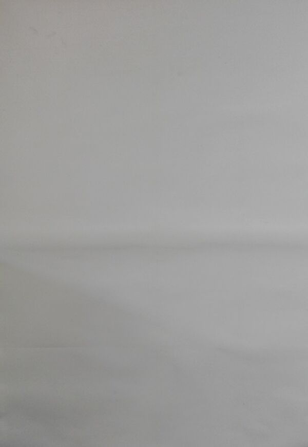 Affiche originale de 1968 danger diabolik mario bava jaguar type e