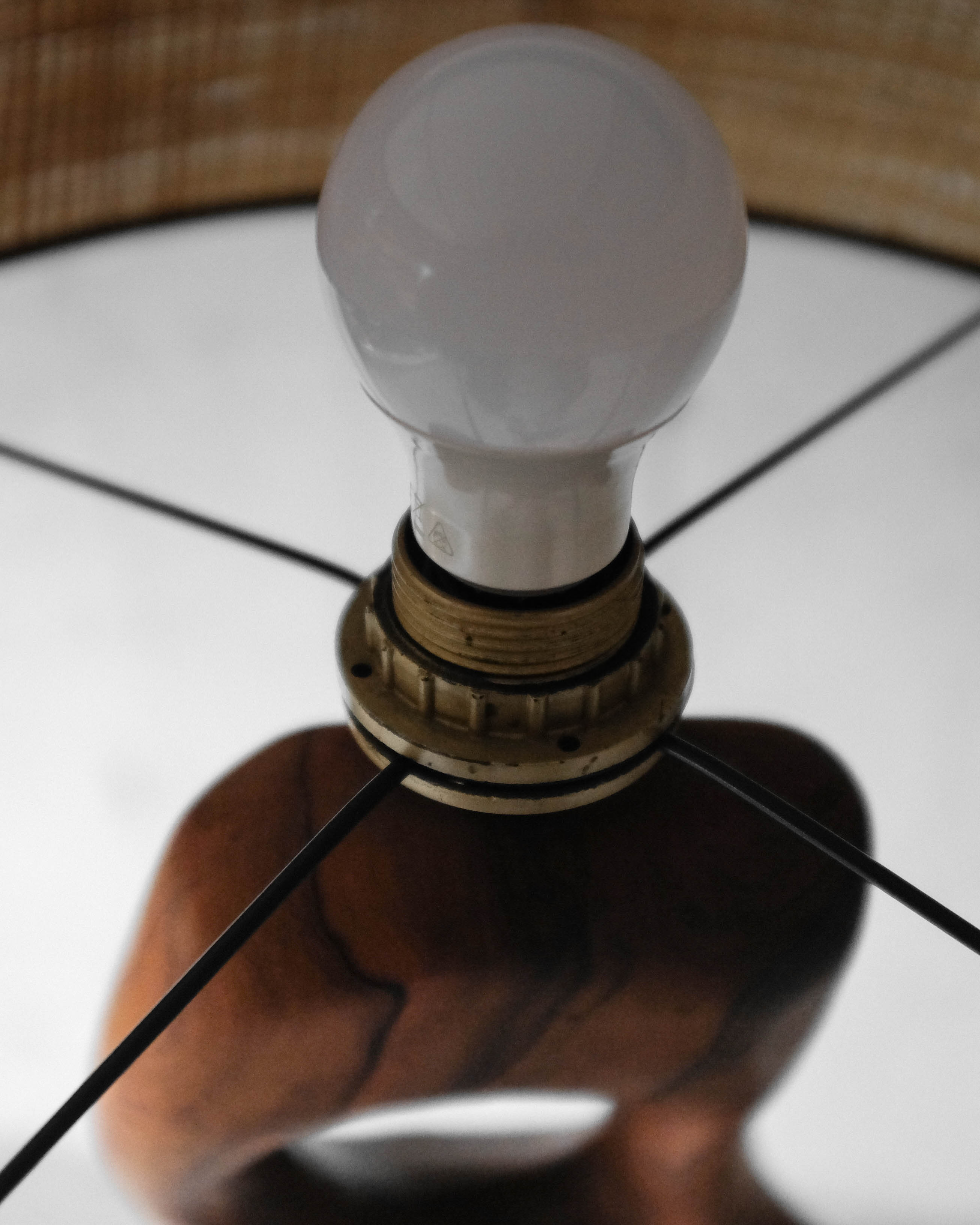 Massive olive tree lamppost - 1960