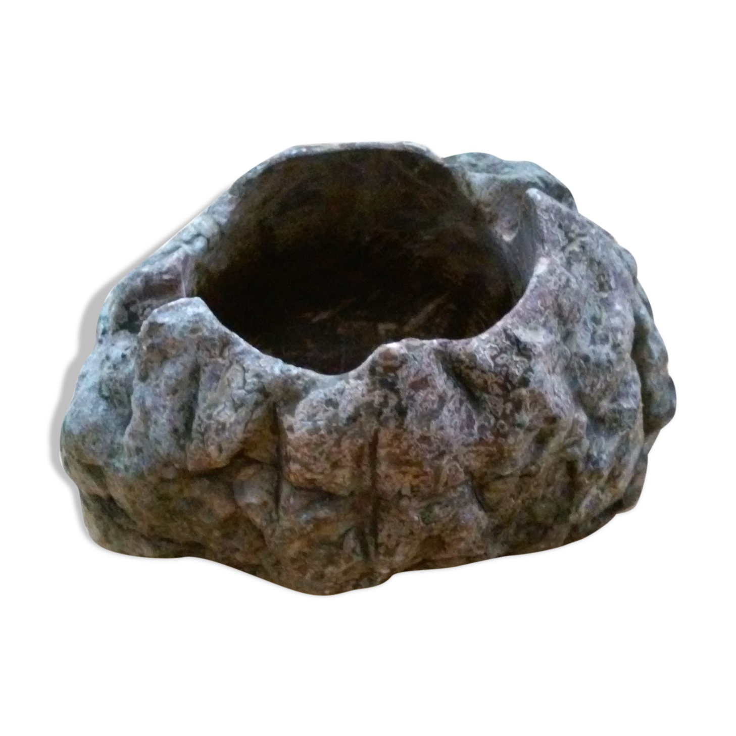Ashtray in petrified wood