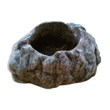 Ashtray in petrified wood