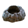 Ashtray in petrified wood