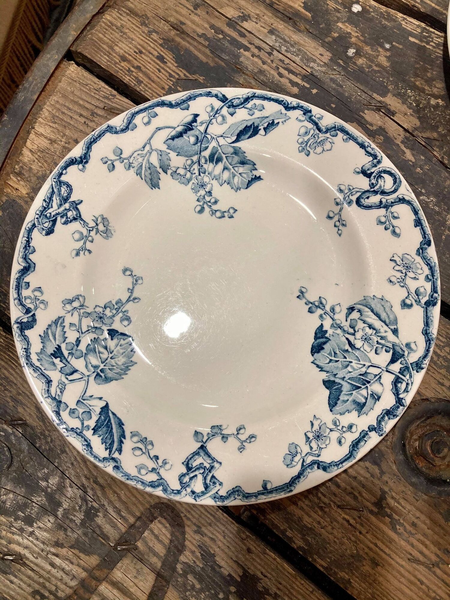 Lot of 8 plates KG Lunéville model Fontainebleau