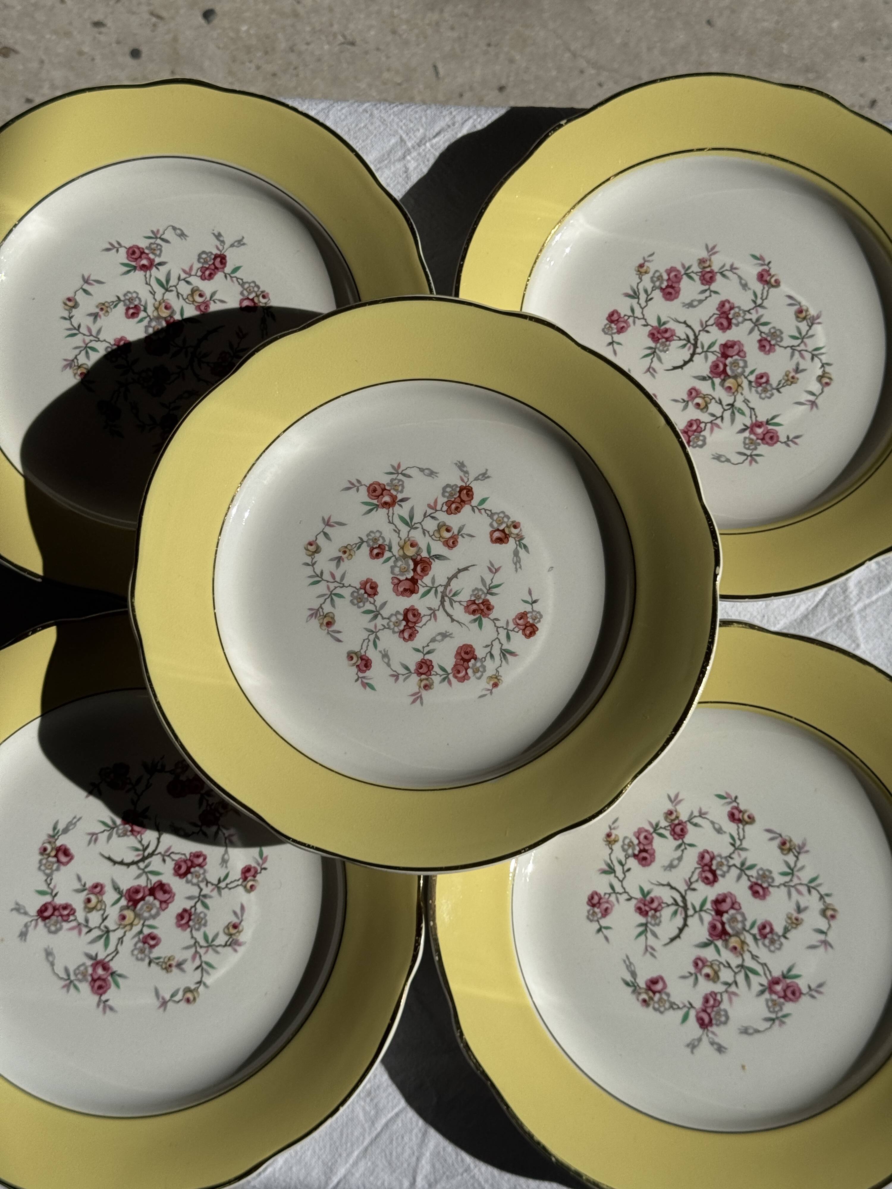 Lot de 19 grandes assiettes plates vintage jaunes fleurs roses liseré doré