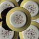 Lot de 19 grandes assiettes plates vintage jaunes fleurs roses liseré doré