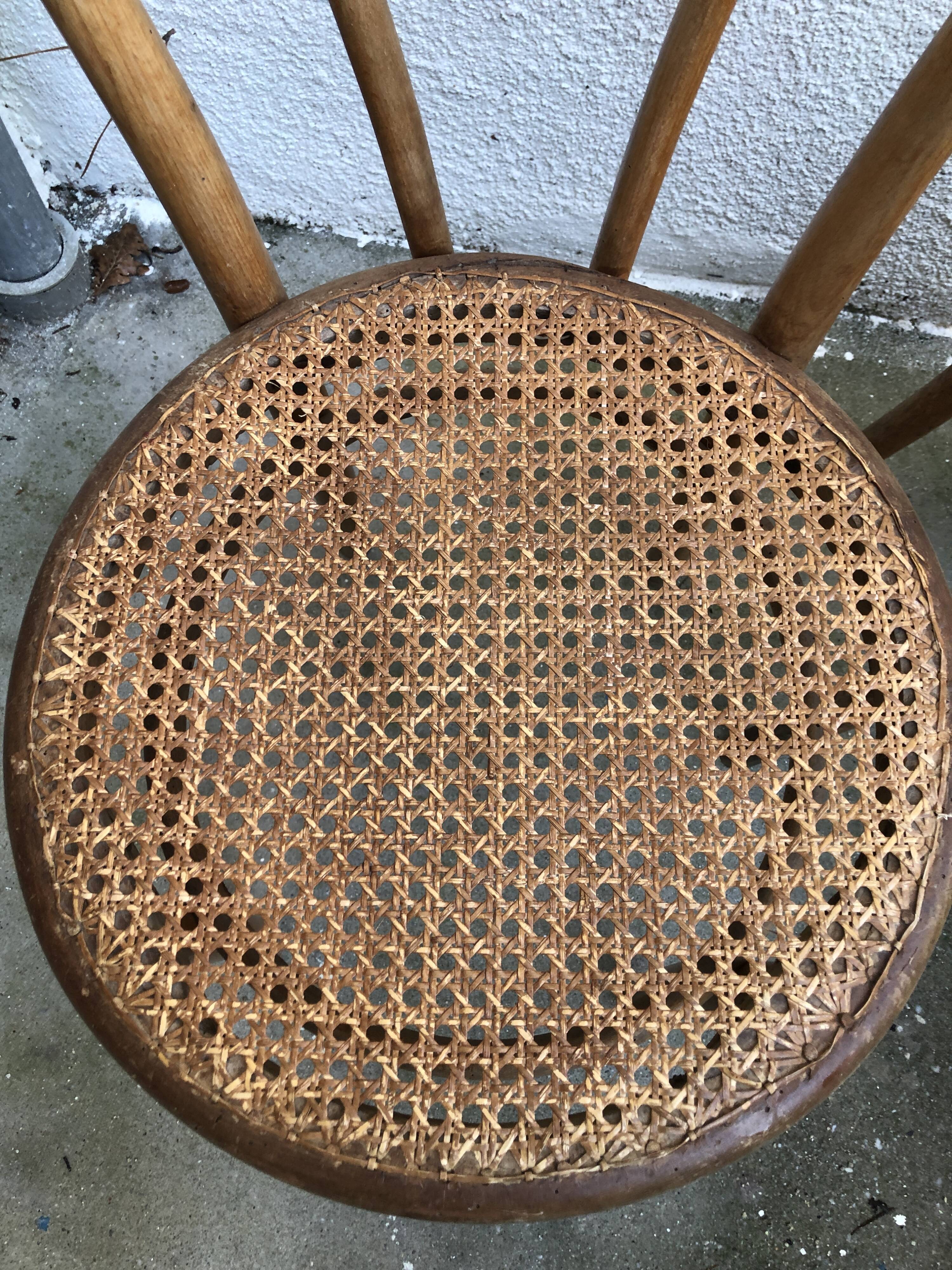 Thonet chairs