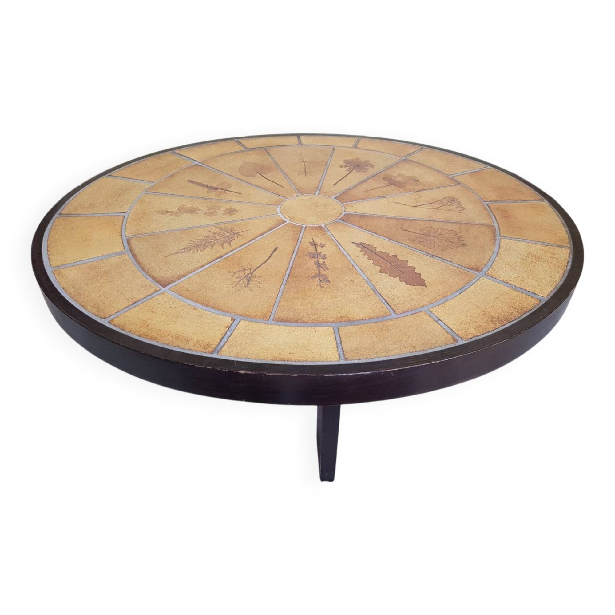 "Herbarium model" coffee table