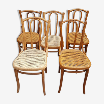 Série de 5 chaises Thonet