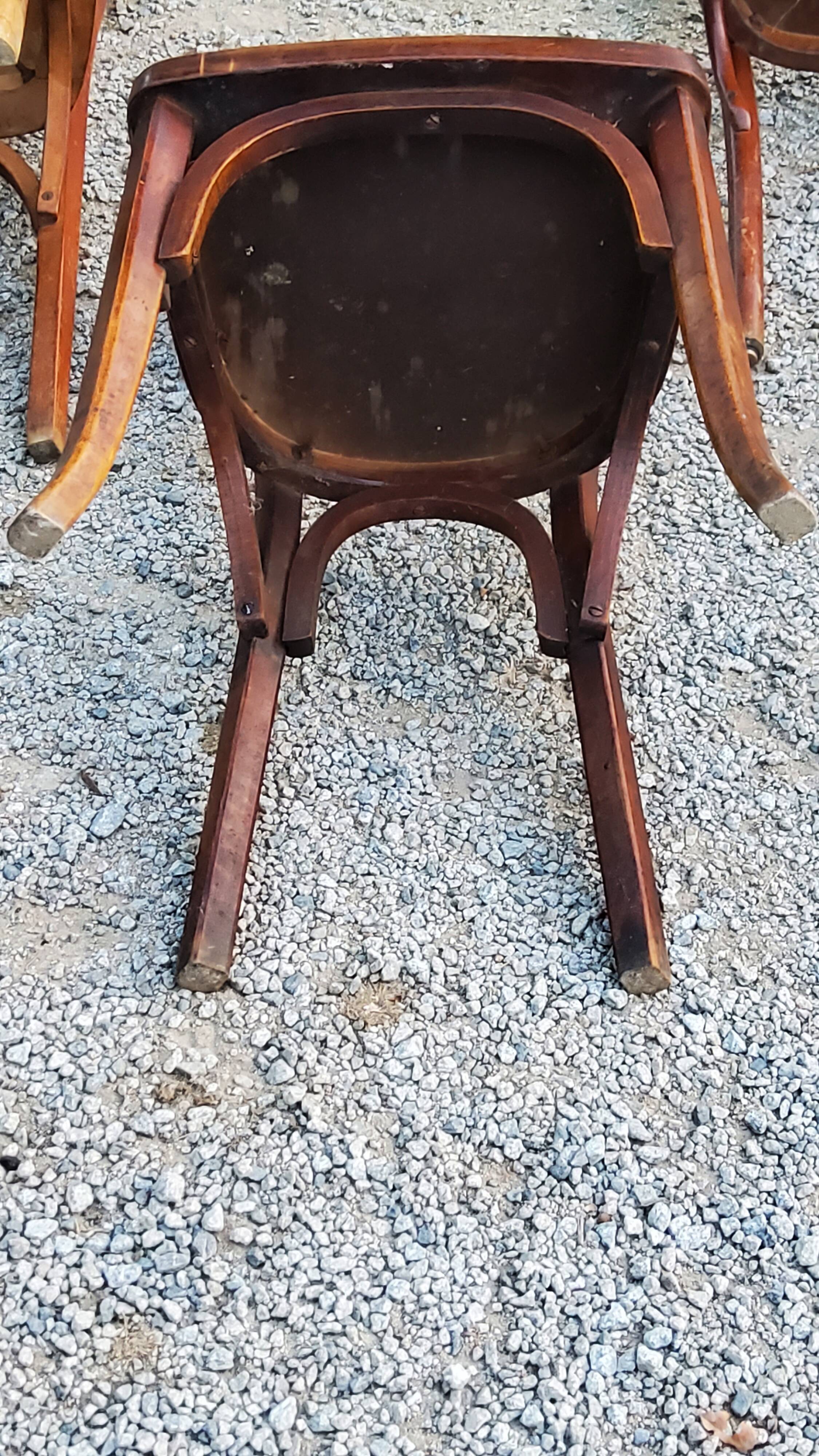 Set of 5 Stella Thonet bistro chairs from the 1950s