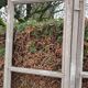 Old pair of window time XVIII th s / XIX th s