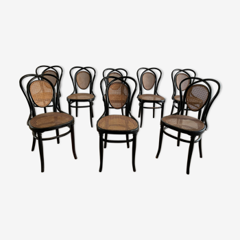 Series of 8 Viennese chairs N.33 by J&J Kohn, 1900
