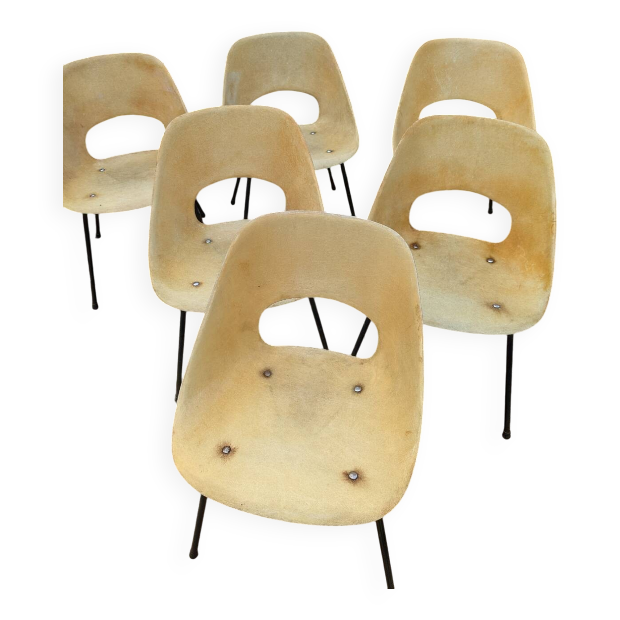 Lot de 6 chaises pierre guariche