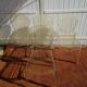 4 chairs by Pedrali
