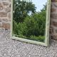 Large antique bevelled mirror in carved solid wood, green lizard – 129 × 75
