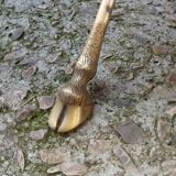Rectangular coffee table in smoked glass and brass, animalist legs