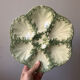 Majolica oyster plate St Clément Luneville