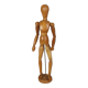 Articulated mannequin varnished wood for artist 33 cm SL
