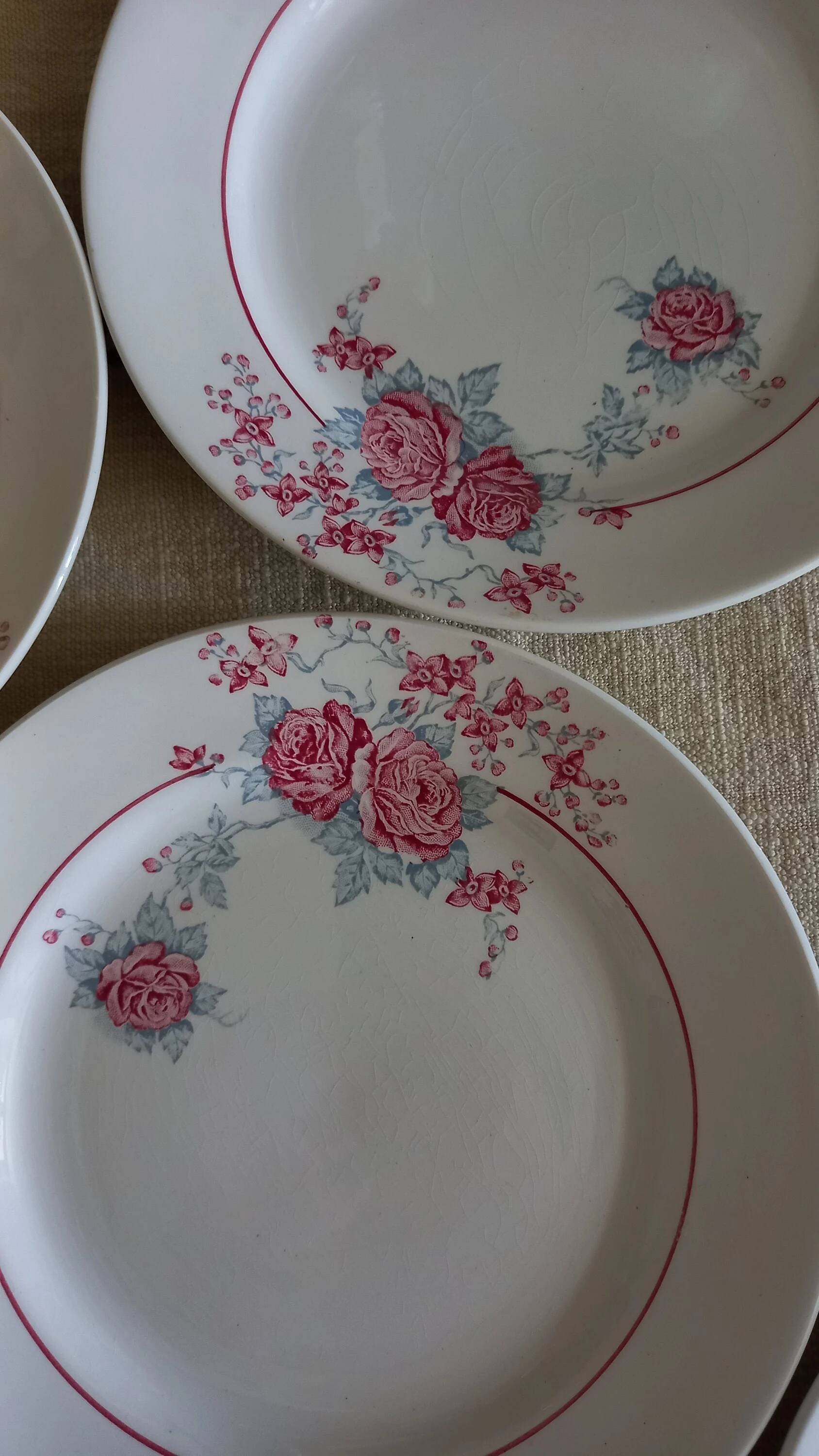 "Thalie" - 6 flat plates ironstone Saint-Amand