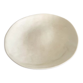 Pearly enamel dish