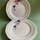 Flat plates Sarreguemines