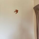 Lucky swallow