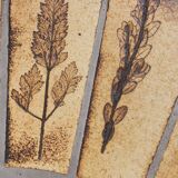 Round coffee table herbarium Roger Capron, Vallauris - ceramic and wooden structure