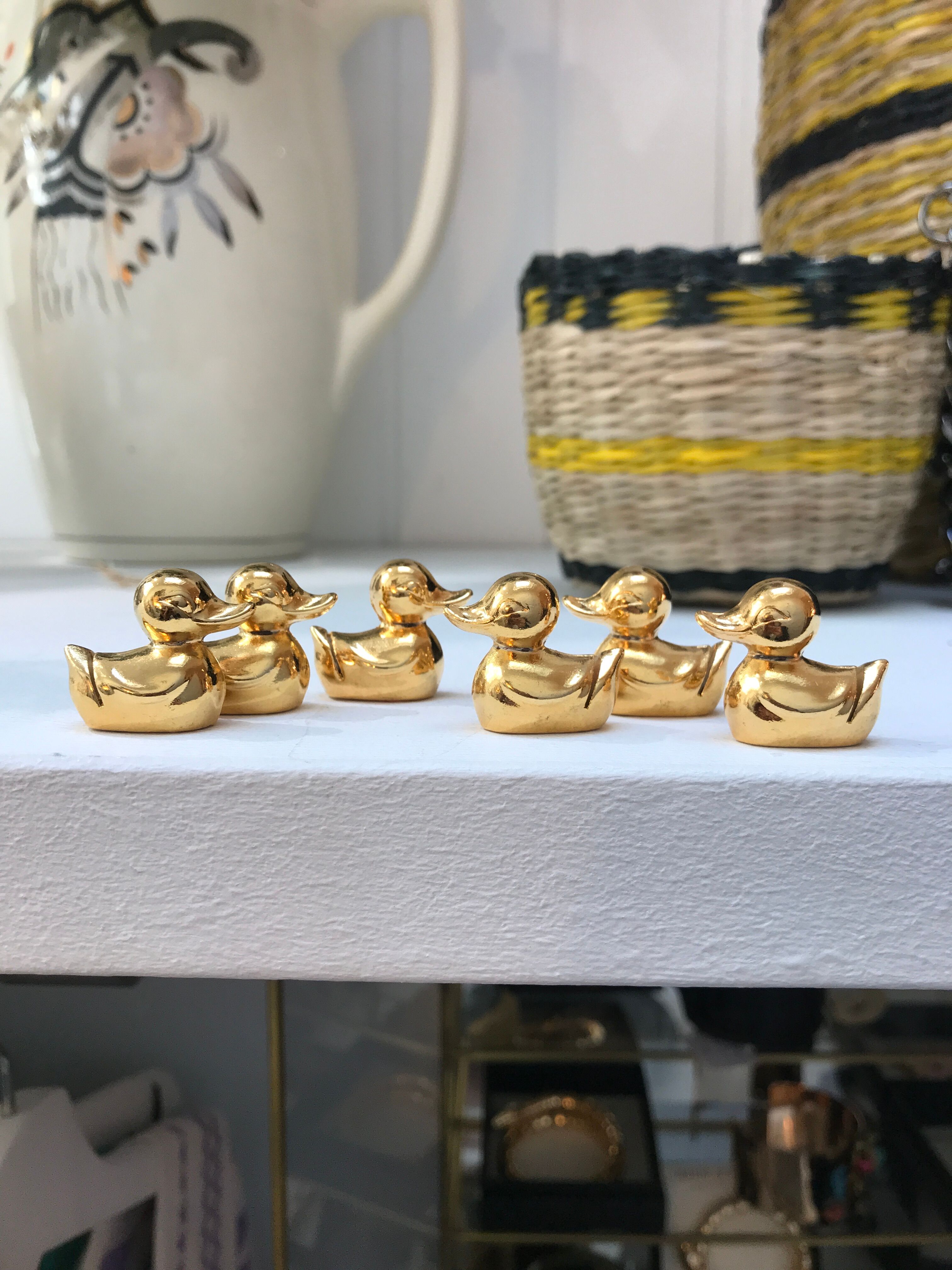 6 duck name holders