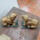 Paire de serre livres ours en régule,  22cms de H