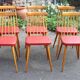 Set of 6 beech chairs from the 50s