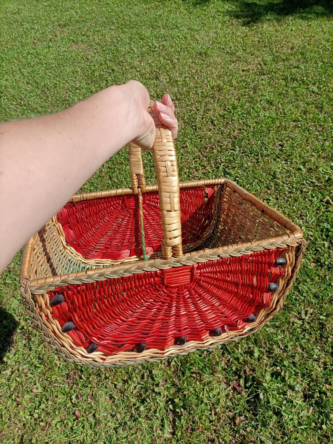 Retro Watermelon Basket