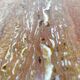 Travertine coffee table red design