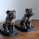 Delivered bulldogs from "Franjou"