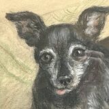Portrait of dogs