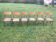 School chairs