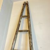 Old wooden ladder