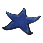 Vide poche étoile de mer