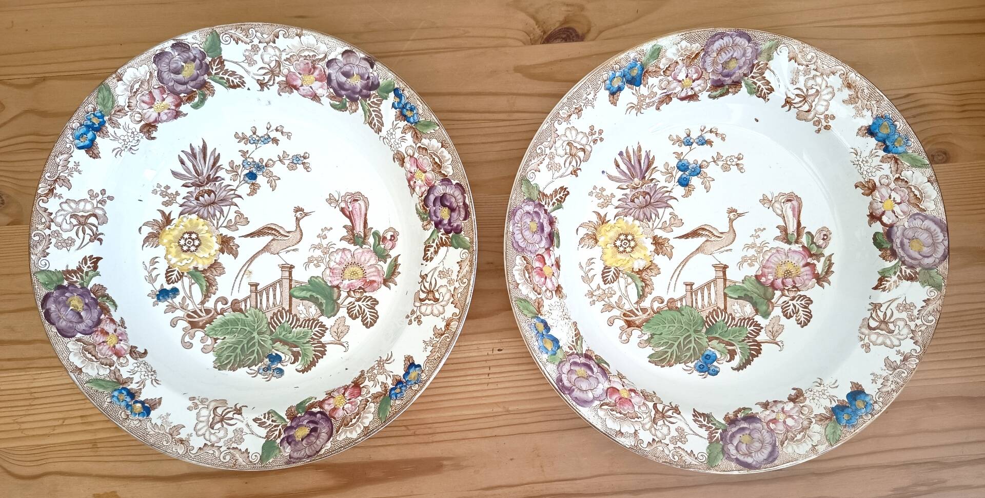 Set of 2 antique Longwy plates - Anemone model / Anemones