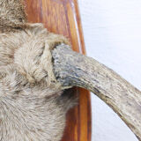 Momentum trophy 1968