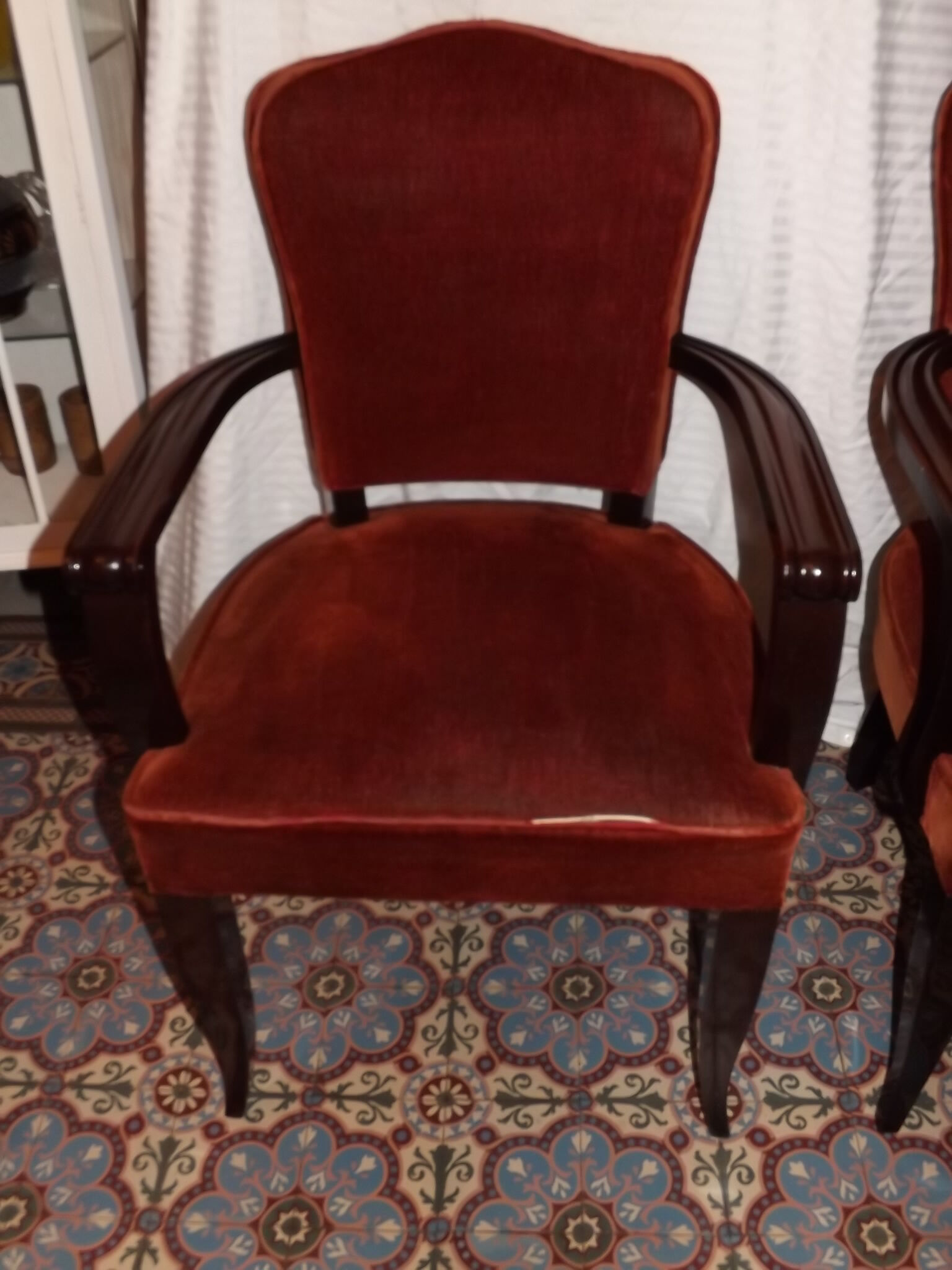 Pair of chairs Gaston fish 1950