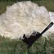 Fan scale ostrich feathers Napoleon III